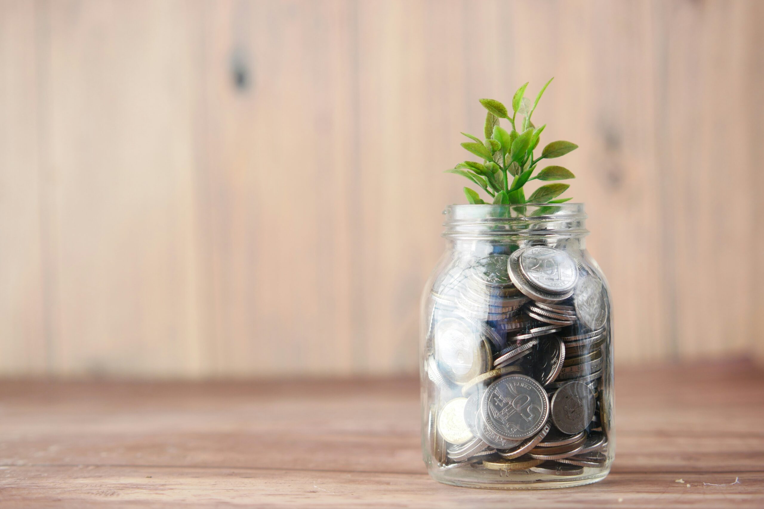 Image of a jar full of coins with a plant growing out of it.